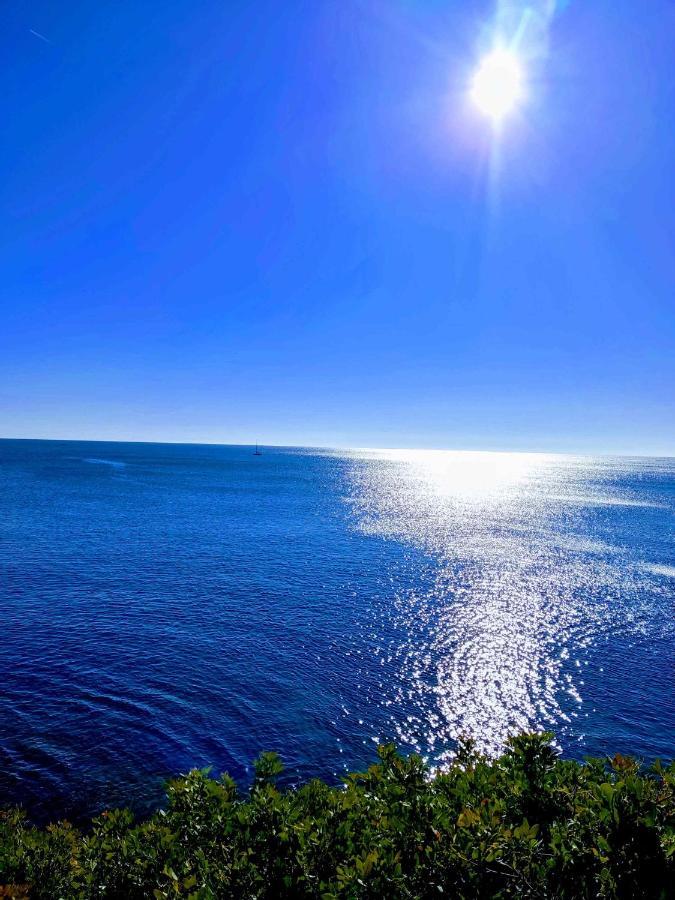 Perla De Mar Apartment L'Ametlla de Mar Ngoại thất bức ảnh